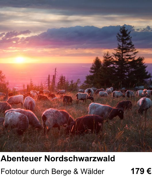 Praxisorientierter Fotoworkshop mit dem Thema Abenteuer Nordschwarzwald: Fototour durch Berge & Wälder