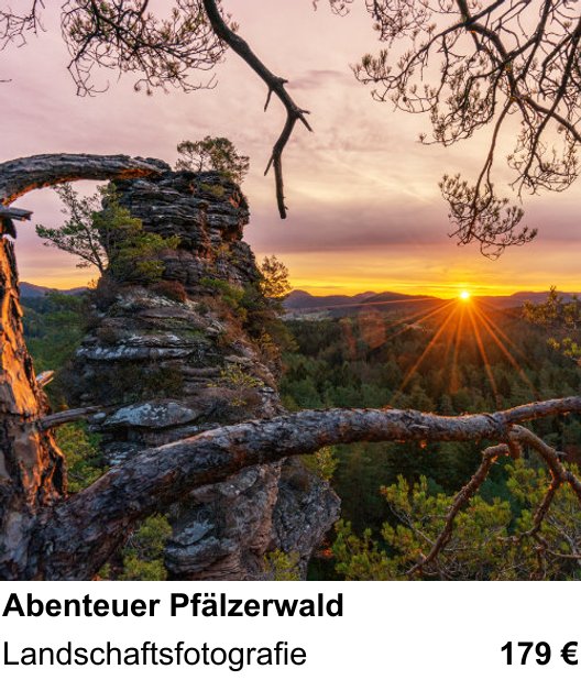 Praxisorientierter Fotoworkshop mit dem Thema Abenteuer Pfälzerwald: Landschaftsfotografie