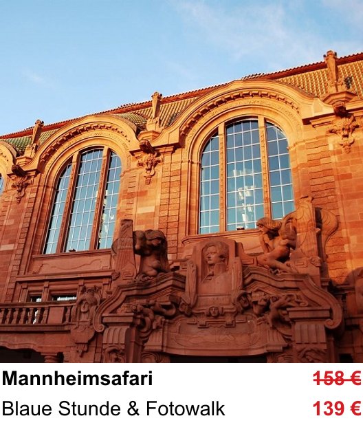 Blaue Stunde & Fotowalk beim Fotokurs Mannheimsafari