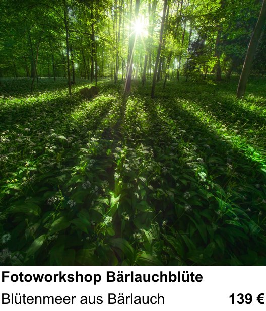 Praxisorientierter Fotoworkshop mit dem Thema Fotoworkshop Bärlauchblüte: Blütenmeer aus Bärlauch
