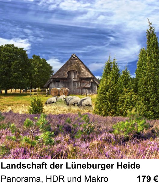 Praxisorientierter Fotoworkshop mit dem Thema Landschaft der Lüneburger Heide: Panorama, HDR und Makro