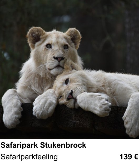 Praxisorientierter Fotoworkshop mit dem Thema Safaripark Stukenbrock: Safariparkfeeling