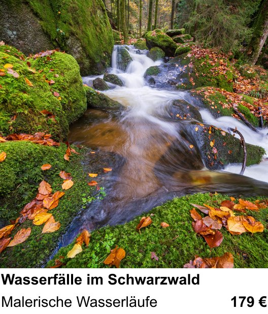 Praxisorientierter Fotoworkshop mit dem Thema Wasserfälle im Schwarzwald: Malerische Wasserläufe