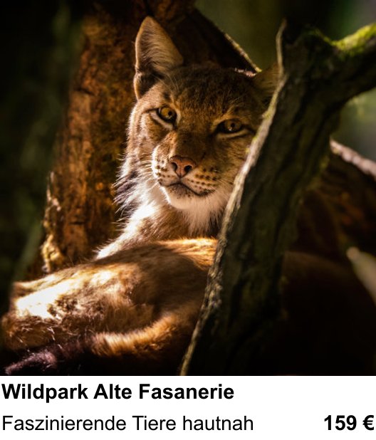 Praxisorientierter Fotoworkshop mit dem Thema Wildpark Alte Fasanerie: Faszinierende Tiere hautnah
