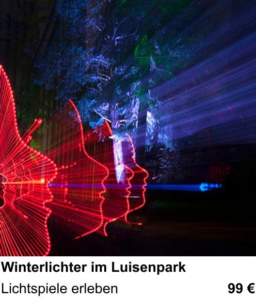 Praxisorientierter Fotoworkshop mit dem Thema Winterlichter im Luisenpark: Lichtspiele erleben