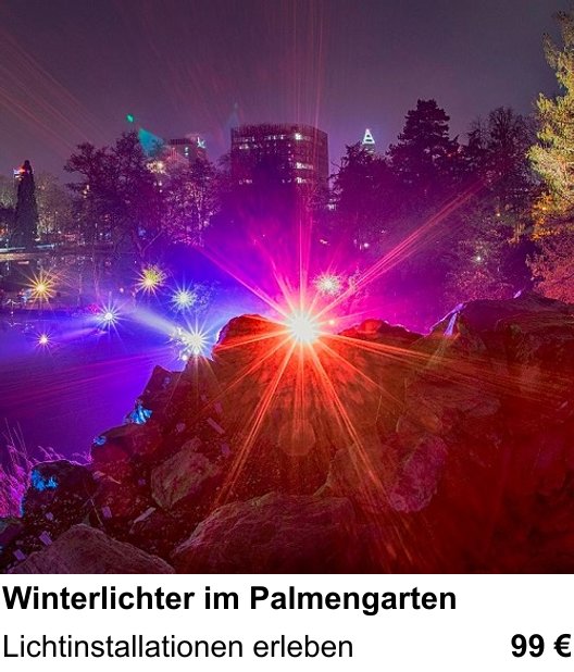 Praxisorientierter Fotoworkshop mit dem Thema Winterlichter im Palmengarten: Lichtinstallationen erleben